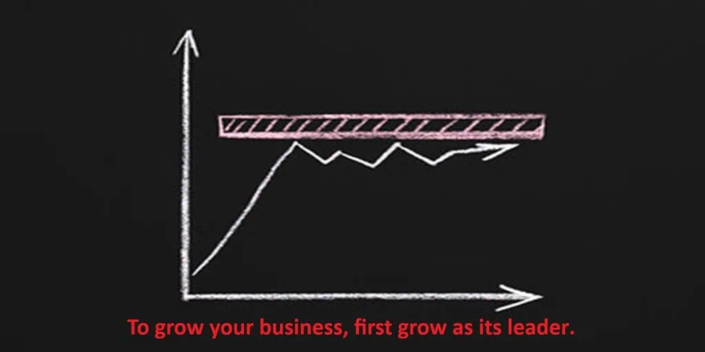 business growth stagnation
